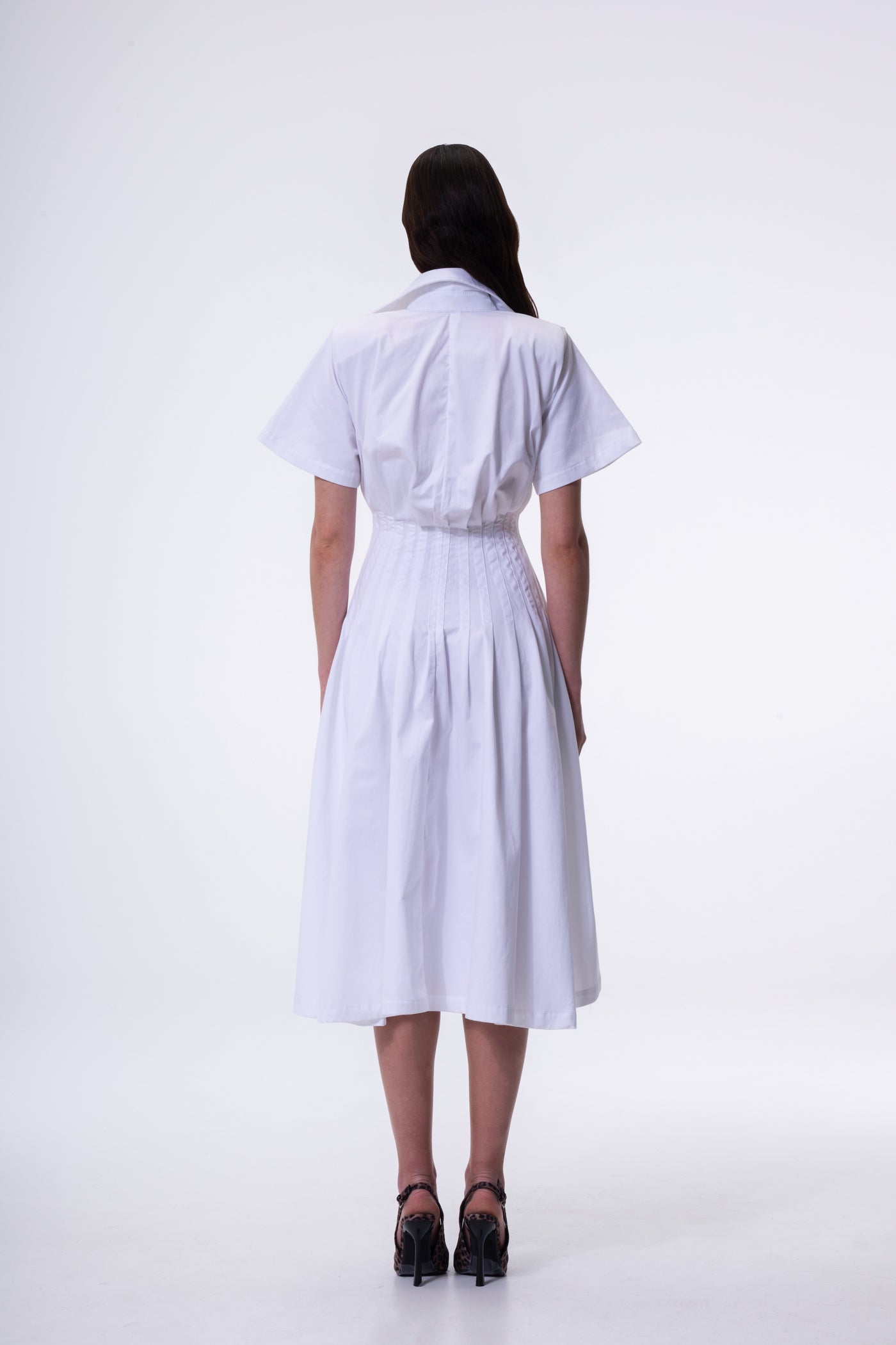 The Poplin Dress