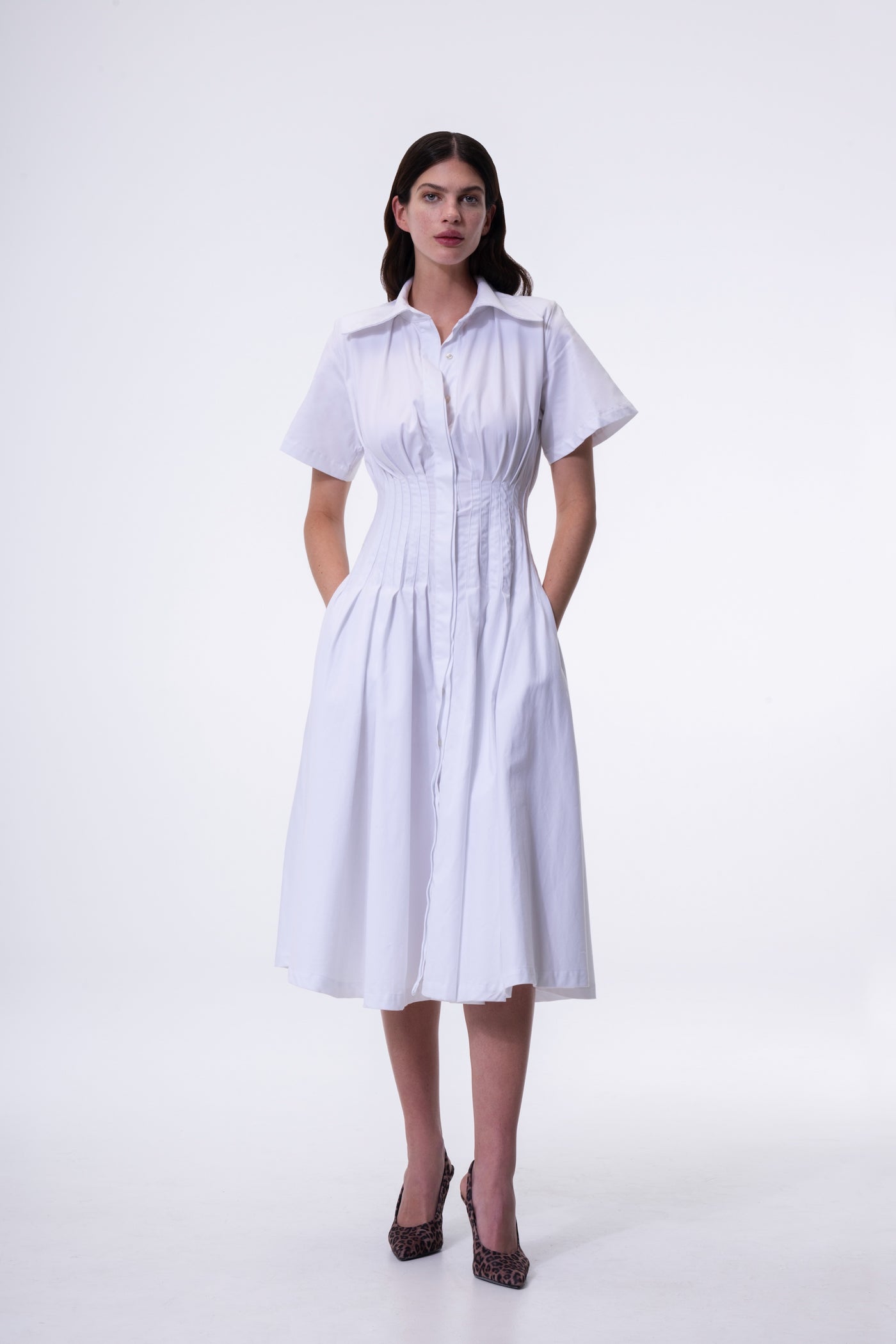 The Poplin Dress